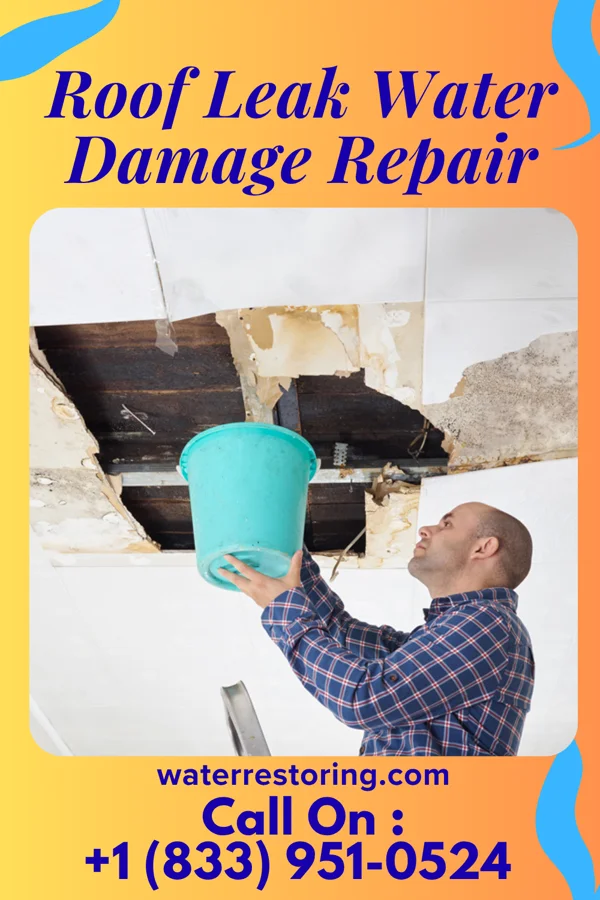 Roof Leak Water Damage Repair in Monahans, TX